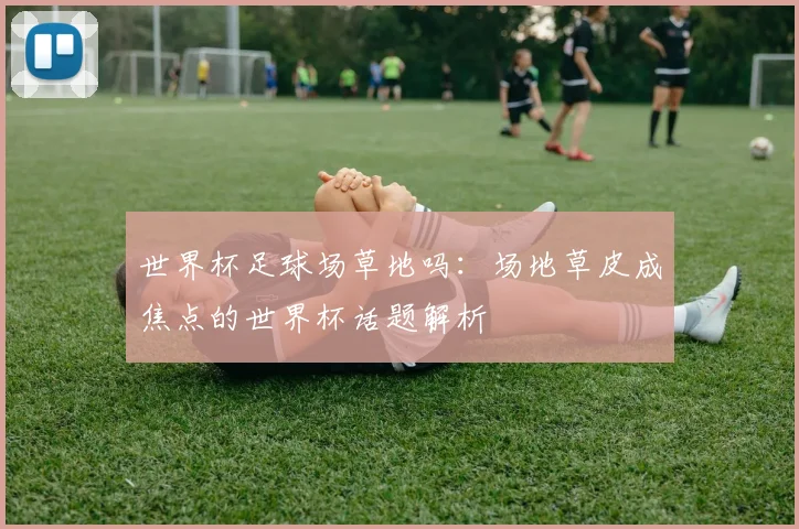 世界杯足球场草地吗：场地草皮成焦点的世界杯话题解析