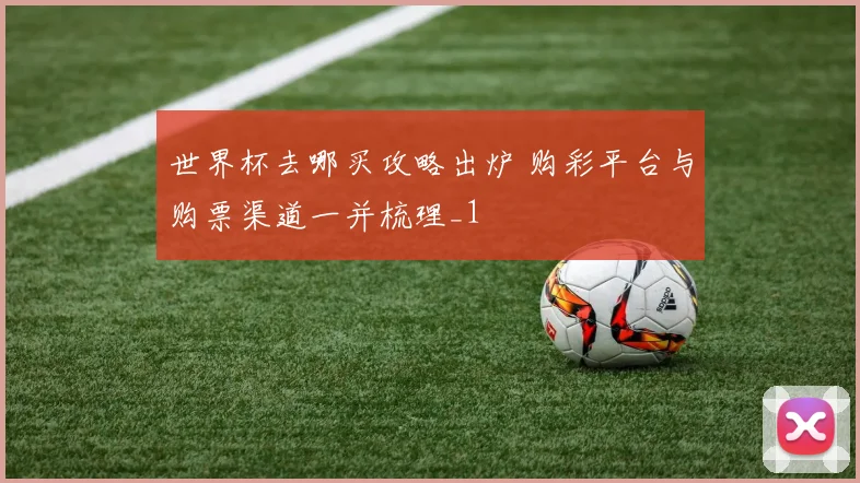 世界杯去哪买攻略出炉 购彩平台与购票渠道一并梳理_1