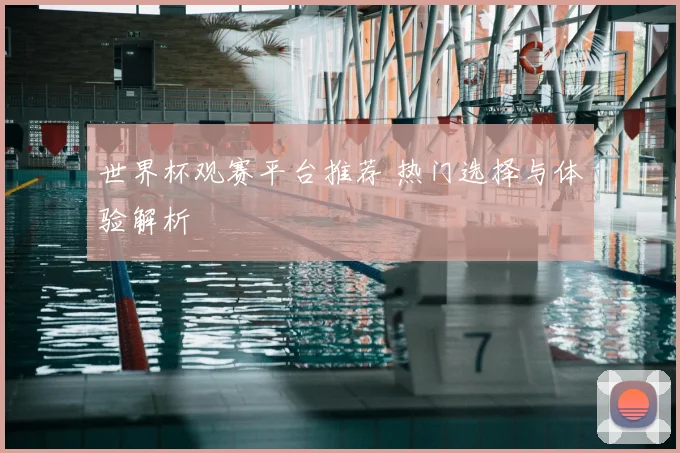 世界杯观赛平台推荐 热门选择与体验解析