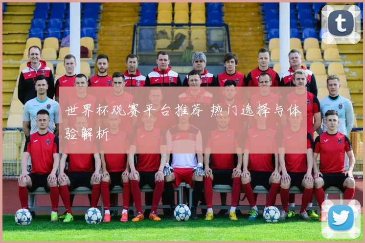 世界杯观赛平台推荐 热门选择与体验解析